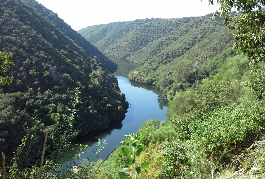 Parque-Natural-de-la-Sierra-de-Hornachuelos